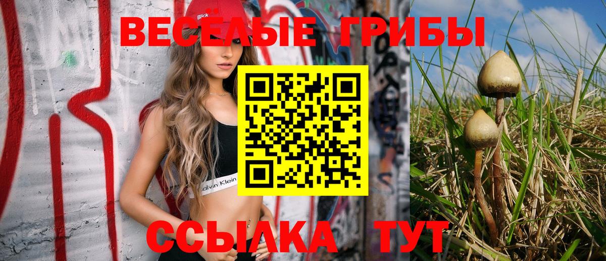 где продают наркотики  Псилоцибиновые грибы Psilocybine cubensis  Вход с VPN  Каменск-Уральский  Галлюциногенные грибы Psilocybe 