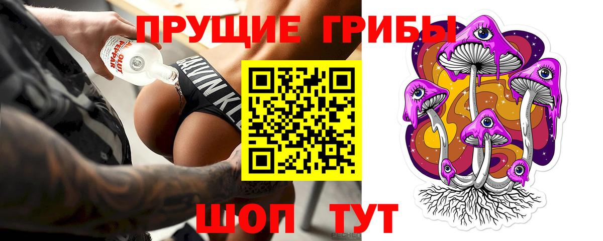 Псилоцибиновые грибы Psilocybe Каменск-Уральский